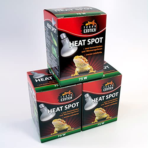 Terra Exotica Heat Spot 75 Watt -3er Pack- Wärmelampe für Reptilien - 25W, 40W, 60W, 75W, 100W, 150W - Terrarium Wärme Spotstrahler - Terrarienbeleuchtung (3, 75 W)