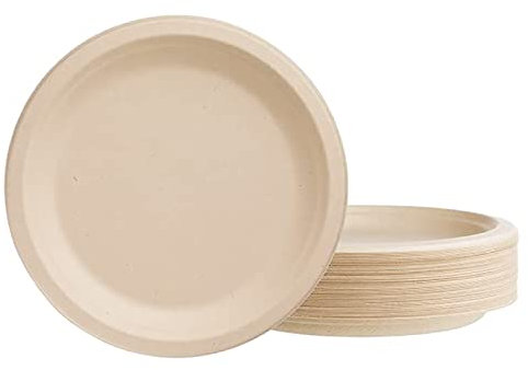 60 Stück Kompostierbare Pappteller 17,8cm, Einwegteller Strapazierfähiger Natürliche Bagasse Teller, Partyteller Einweggeschirr aus Zuckerrohrschnitzel Biologisch Abbaubarer (Natürliche, 17,8cm)