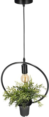 EDO Pendelleuchte Dekorative Hängelampe mit Topf MEA, Deckenlampe Wohnzimmer, Lampe Wohnzimmer, Runde Pendelleuchte, Gemetrischer Kreis, Pflanzen Topf, Natur Designer IP20, E27, EDO777544 Deckenlampe