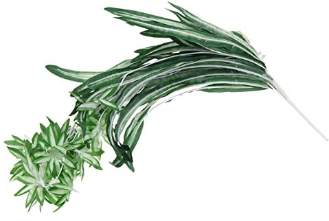 Ciieeo 1pc Imitation Plants Faux Plants Indoor Hanging Wall Plants Chlorophytum Pendant Fake Plant Adornment Garden Decoration Fake Vine Decorate Home Fake Spider Plant Green Plastic