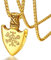 FaithHeart Vergoldet Kompass Anhänger Retro skandinavischer Armulett Herren Vikinger Schild Anhänger Vegvisir Halskette für Kinder und Jugendlichen