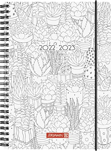 Brunnen Schülerkalender „ZENart“ 2022/2023 A5 2 Seiten = 1 Woche, 1072155193, Motiv: ZENart