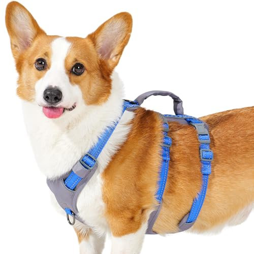 Huntboo Sicherheitsgeschirr Hund Ausbruchsicher, Panikgeschirr für Hunde, Reflektierendes Geschirr Hund mit Griff, Verstellbare Hundegeschirr für kleine, mittelgroße und große Hunde (Meeresblau,M)