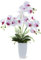PASCH® XXL Kunstblume Orchidee groß (70cm) in Hochglanz-Keramiktopf | Orchideen künstlich | Kunstblumen wie echt