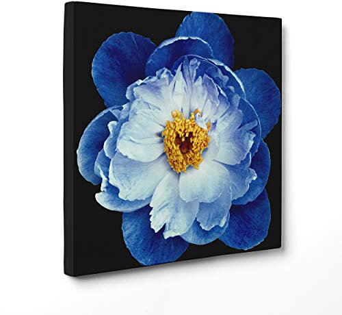 ConKrea Gemälde Blumen – Natur Panorama Landschaft – Campo Fiorito Bouquet auf Leinwand