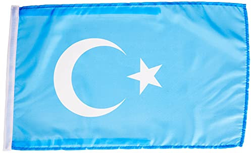 FLAGGE UIGUREN 45x30cm mit kordel - UYGHUREN FAHNE 30 x 45 cm - flaggen AZ FLAG Top Qualität