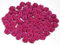 Rosen 15 mm x 20 Stück Satinrosen Aufnäher Deko Blumen Röschen zum Basteln Haarschmuck kleine Rosenköpfe Farbe: fuchsia 187