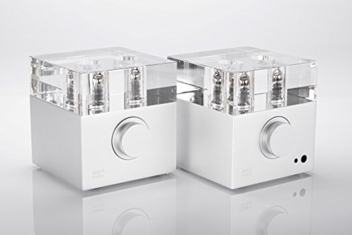 Woo Audio WA7 Fireflies with WA7tp (tube power supply) upgrade in Silver