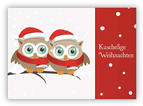 10 Stück Romantische Weihnachtskarte mit süßen Eulen: kuschelige Weihnachten • Klappkarten Set mit Umschlägen zum Weihnachts-Fest, Neujahr für Familie, Freunde, Kollegen aus der Firma