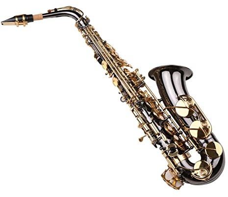 Generic Altosaxofon, Saxofon med Bärande Fall + Rengöringduk + Borste + Saxofonhalsband Svart e Platt Saxofon Mässing för Studentbörjare