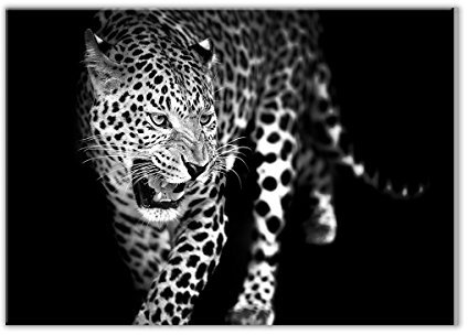 STYLER GL106 Glasbild, Glas, schwarz, 0.4 x 100 x 70 cm