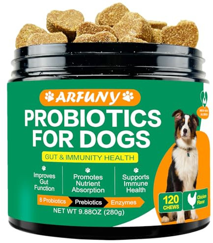 SANTKOL Hund Probiotika - Probiotika Hunde Darmflora - Unterstützen bei Darmflora, Durchfall, Blähungen beim Hund - mit Prebiotika und Enzymen - 120 Leckerlies