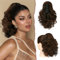 Sofeiyan Postizos de Coleta Rizada con Pinzas de Garra, 28cm Corto Cola de Caballo Extensión de Pelo Ondulada Ponytail Extension Clip in Postizo Sintético para Mujeres,Marrón oscuro y marrón caramelo