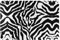 Türmatte Zebra-Druck Teppich Dekoration Flacher Fußabtreter Langlebig Schmutzfangmatte, Für Haustür, Küche, 60 x 40cm