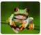 Merchandise for Fans Mauspad/Mouse Pad Textil | Rückseite Kautschuk | rutschfest | 22 x 18 cm |für alle Maustypen |Büro und Gamer| Motiv: Grüner Frosch mit roten Augen | 01