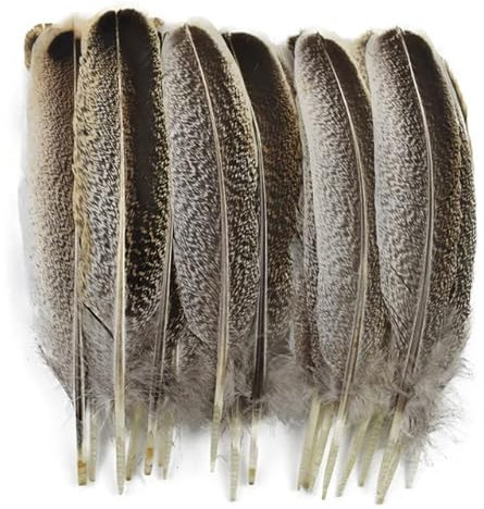 RAEF 10 Teile/los Natürliche Adler Federn für Dekoration Handwerk Hochzeit Vogel Fasan Türkei Feder Dekor Urlaub Carnaval Assesoires