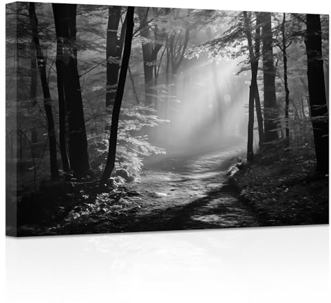 ZXHYWYM Schwarz Weiß Waldbilder Wald Sonnenschein Baum Malerei Natur Landschaft Leinwanddrucke Kunstwerk für Wohnzimmer Büro Schlafzimmer Gerahmt (Bild-2, (30.00 x 45.00 cms))