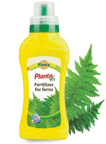 Liquid Plant Food for Ferns, 450ml Concentrate, Boosts Growth & Vibrant Green Leaves, Indoor & Outdoor Plants