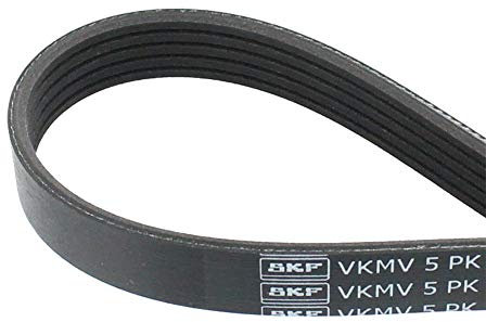 SKF VKMV 5PK1145 Cinghia di multi-V