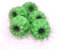 ❥ 5er Set - Duftwachs | Melt | Duftkerzen | Raumduft für die Aromalampe ❥ (Pfefferminz- Peppermint)