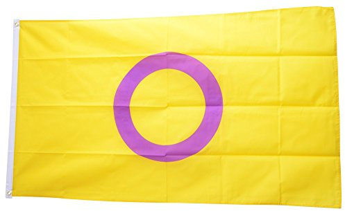 Flaggenfritze® Flagge/Fahne Intersex Pride - 90 x 150 cm