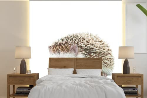 MuchoWow Papier peint Hérisson - Animaux - Blanc Papier peint photo 240x240 cm Papier peint imprimé