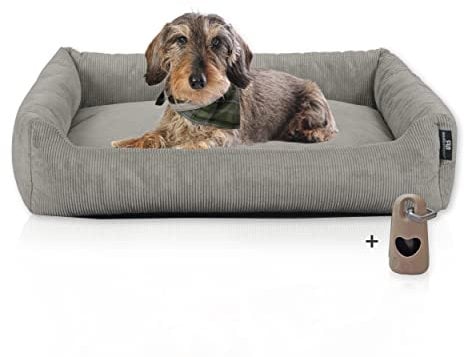 Rohrschneider Hundebett waschbar für kleine und mittelgroße Hunde mit Hundekissen Cord grau (ca. 70x50 cm) inkl. Gassibeutel