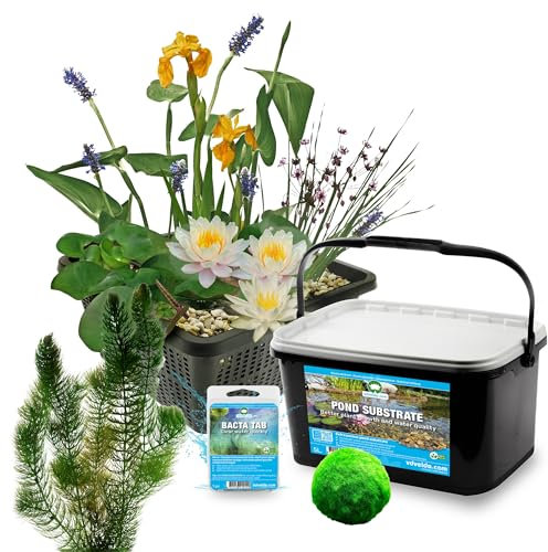 vdvelde.com - Teichpaket komplett weiß - XS - 25-90 L - - 11 Pflanzen für 25-90 L- Erzeugt einen wartungsfreien Teich- Platzierung: -10 bis -20 cm