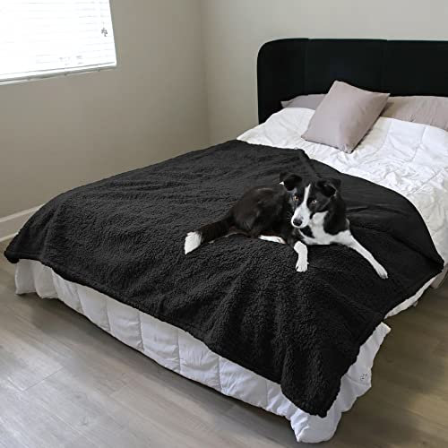 Pawsee Wasserdicht Hundedecke Katzendecken Waschbar, wasserdichte Decke für Große Hunde Sofaschutz Couch Überwurf, Flauschig Wasserdicht Liebesdecke für Schutzdecke Tagesdecke, L 203 x 152cm Schwarz