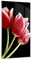 Bilder auf Glas Tulpe garten blume blumenstrauß Glasbild 45x80cm Wandbilder Dekoration Wohnzimmer Schlafzimmer Küche Deko Klein Wanddeko Bild im Glas Wand Kunstdruck Art Modern Wall GPA45x80-1494