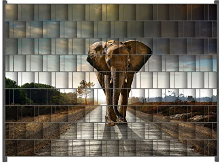 Wallario Zaun Sichtschutz Windschutz für EIN- und Doppelstabmattenzäune in der Größe Breite 2,50m x Höhe 1,80m, Motiv: Elefant bei Sonnenaufgang in Afrika