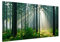 Magnettafel Enlightened Forest Memoboard Design Quer Metall Magnet Pinnwand Motiv Wand Stahl Küche Büro, Größe HxB: 37cm x 78cm