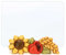 THUN - Portafoto in Ceramica Decorata a Mano con Girasole e Papavero e Portafoto in Vetro, Linea Fiori e Fantasia, 16x8x6 cm h