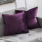 MIULEE 2er Set Samt Kissenbezug Flansch Kissenhülle Dekorative Sofakissen Dekokissen Umwickelte Kante Kissenbezüge Zierkissenbezug für Sofa Wohnzimmer Schlafzimmer 45x45 cm Aubergine Lila
