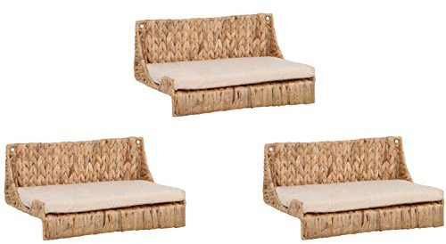 Lycce Wandliege Climby Wasserhyazinthe 3er Set