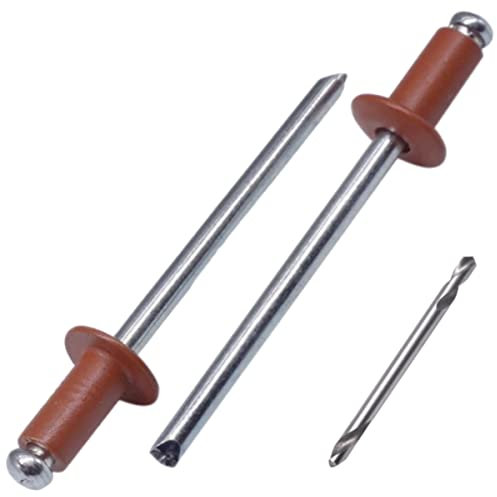 SKIR'CO (100 pezzi) Rivetti ciechi verniciati 4,0 x 8 mm, in alluminio Pop Rivetti, punta per trapano inclusa (rame marrone RAL 8004)