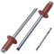SKIR'CO (100 pezzi) Rivetti ciechi verniciati 4,0 x 8 mm, in alluminio Pop Rivetti, punta per trapano inclusa (rame marrone RAL 8004)