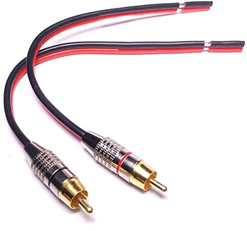 Oikabio Câbles D'Enceinte Vers Adaptateur de Fiches RCA, 2 Canaux (1 Pied)