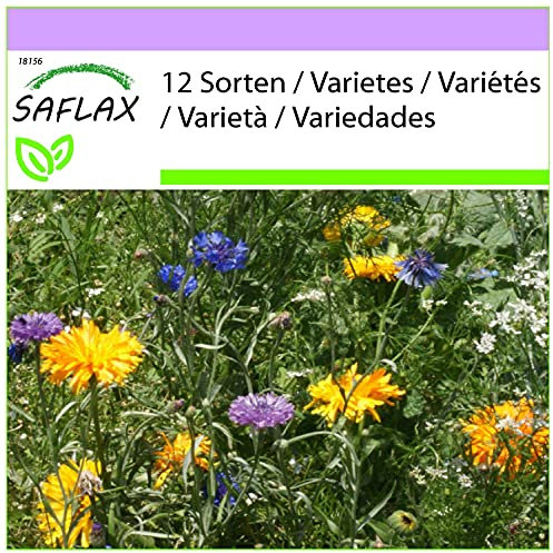SAFLAX - Fiori commestibili - 1000 semi - 12 Sorten