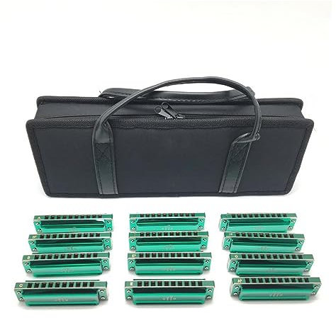 Anfänger Mundharmonika 12-teiliges Mundharmonika-Set Mit 10 Löchern Aus Phosphorbronze
