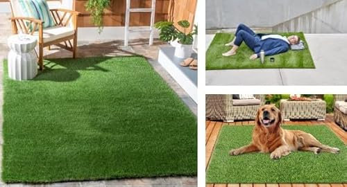 PratoErboso LawnCarpet - L' Originale Tappeto in Erba Vera 100% Naturale per uomo e animali. Lettiera per Cani e Gatti in Erba Vera Naturale. Zona Relax per tutti.