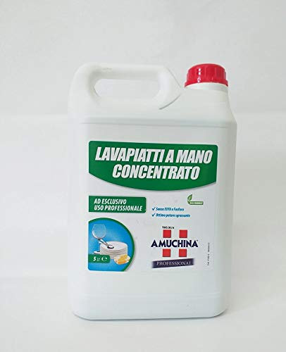 Amuchina lavapiatti a mano concentrato uso professionale 5 litri