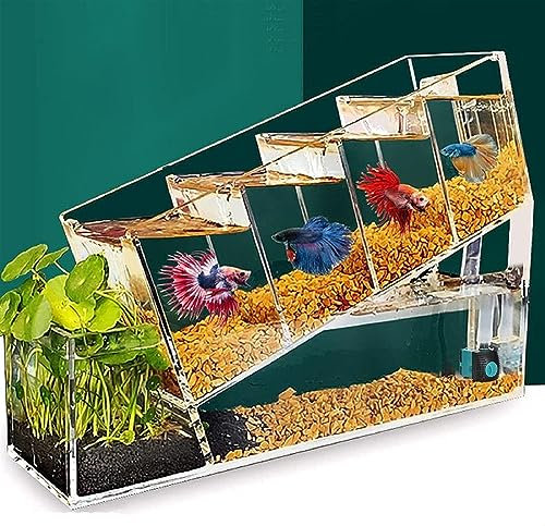 RUTAVM Betta Fish Tank Aquarium Kit Acrylic Material, Mini Desktop Small Fish Tank Falls Kit for Betta Fish, Shrimp, Goldfish with Water Pump Multi Cell, 38x10x26cm
