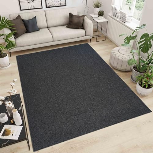 Simple Low Pile Rugs Living Room – Modern Tufted Area Rugs for Living Room with Felt Backing Dark Grey 60x110 cm
