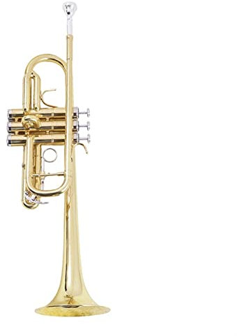 Anfänger Trompete Die Hoch Geneigte C-Trompete Eignet Sich Für Anfänger, Leistungen, Prüfungen