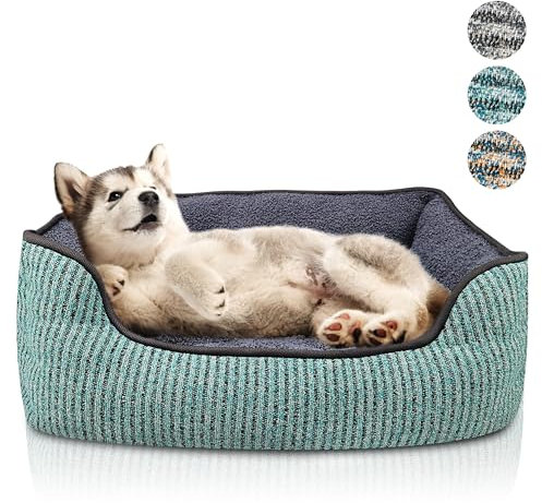 bluzelle Hundebett für kleine Hunde & Katzen, Hundekorb Hundesofa Hundekissen Katzenbett Katzenkissen, Waschbar rutschfest Herausnehmbares Kissen Flauschig Plüsch Teddy-Fell, Größe S, Farbe:Grün