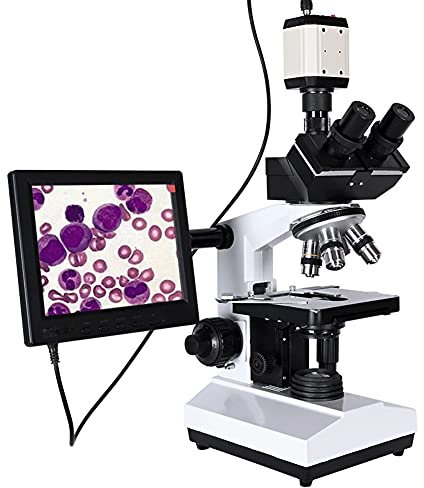 ZHCHAO Laboratorio Profesional Biológico Microscopio Trinocular Zoom 250 0X + Digital electrónico CCD Cámara + 8 Pulgadas LCD