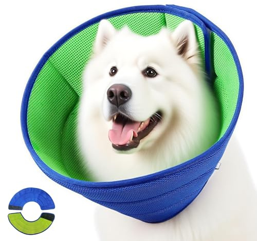 Qixuer Halskrause Hund Weich, Atmungsaktive Netz - Hundehalskrause, Leckschutz Schutzkragen Hund, Haustier Elisabethanischer Kragen(L, Grün & Blau)