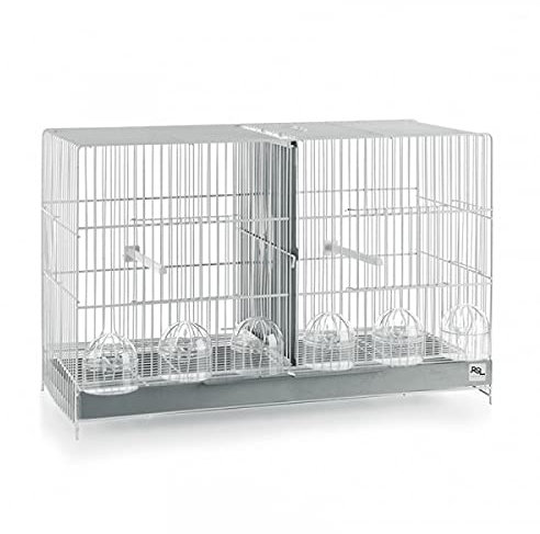 RSL pets - Jaulas Jaula de cría para Aves con Sistema de Puerta Guillotina
