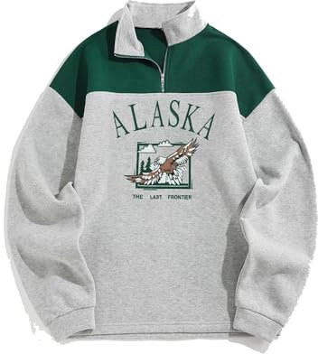 ZAFUL Felpa in pile con cerniera polare, da uomo, vintage, con colletto alto, a colori, grafica/lettera ricamata, a maniche lunghe, per autunno e inverno, 4-grigio chiaro, L